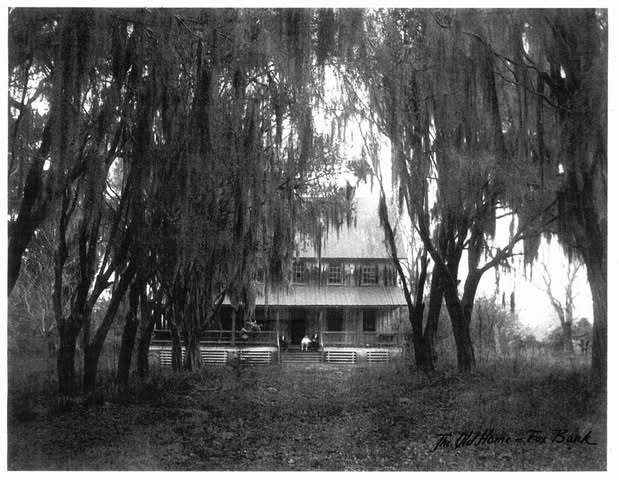 History of Foxbank Plantation